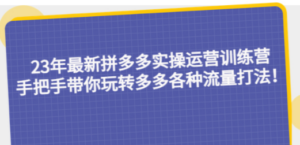 23年最新拼多多实操运营训练营-技研社
