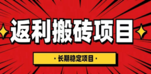 国外返利网项目,返利搬砖长期稳定,月入3000刀(深度解剖) - 技研社-技研社