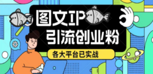 价值1688的ks dy 小红书图文ip引流实操课，日引50-100！各大平台已经实战 - 技研社-技研社