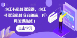 小红书私域引流课:小红书引流私域成交秘籍,1个月加爆私域-技研社
