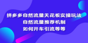拼多多自然流量天花板实操玩法-技研社