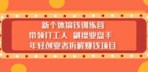 新个体搞钱训练营：带领打工人 副操业盘手 年轻创业者拆解赚钱项目 - 技研社-技研社