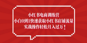 小红书电商训练营，小白0到1快速获取小红书店铺流量，实战操作月入过万 - 技研社-技研社