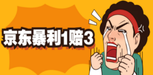 京东暴利一赔三，单号可下车1W+，新号基本稳下（仅供揭秘） - 技研社-技研社