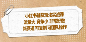 小红书铺货玩法实战课，流量大 竞争小 非常好做 新赛道 可复制 可团队操作 - 技研社-技研社