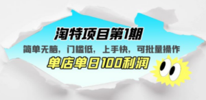 淘特项目第1期，简单无脑，门槛低，上手快，单店单日100利润 可批量操作 - 技研社-技研社