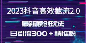 日引300+创业粉:独家抖音高效截流2.0玩法-技研社