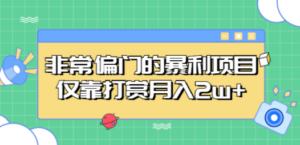 非常偏门的暴利项目,仅靠打赏月入2w+ - 技研社-技研社