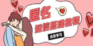 冷门月入过万的匿名短信项目搭建教程【网站源码+网站搭建视频教程】 - 技研社-技研社