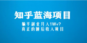 知乎蓝海玩法，躺平副业月入1W+，真正的睡后收入项目（6节视频课） - 技研社-技研社