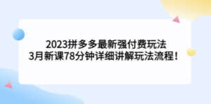 2023拼多多最新强付费玩法，3月新课​78分钟详细讲解玩法流程 - 技研社-技研社