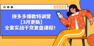 拼多多爆款特训营【3月更新】，全套实战干货​复盘课程 - 技研社-技研社