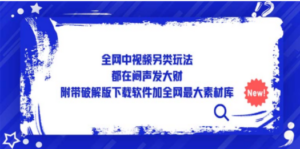 全网中视频另类玩法,都在闷声发大财,附带破解版下载软件加全网最大素材库 - 技研社-技研社