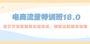 电商流量特训班18.0，直引万流量破局实操玩法，现场出数据拿结果 - 技研社-技研社