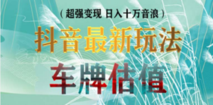 抖音最新无人直播变现直播车牌估值玩法项目 轻松日赚几百+【详细玩法教程】 - 技研社-技研社