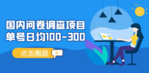 国内问卷调查项目：单号日均100，300-技研社