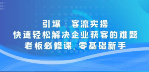 引爆·客流实操:快速轻松解决企业获客的难题,老板必修课,零基础新手 - 技研社-技研社