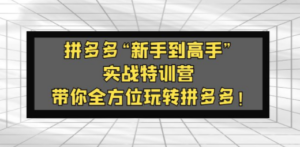 拼多多“新手到高手”实战特训营：带你全方位玩转拼多多 - 技研社-技研社