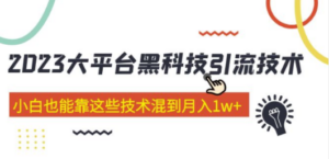 2023大平台黑科技引流技术 小白也能靠这些技术混到月入1w+29节课 - 技研社-技研社