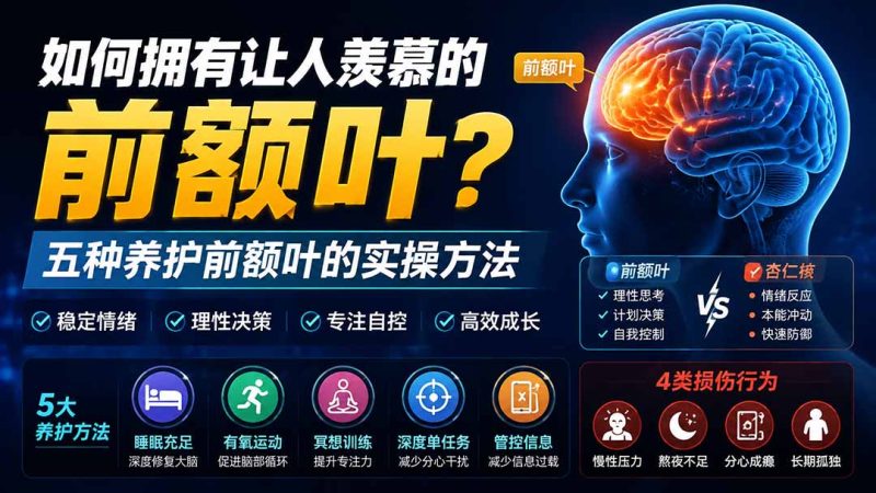 前额叶养护方法怎么做才稳?学习资源与素材模板实操全攻略-技研社