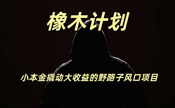 橡木计划副业怎么做才稳？副业赚钱与副业变现实操全攻略-技研社