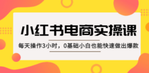 小红书·电商实操课：每天操作3小时，0基础小白也能快速做出爆款 - 技研社-技研社