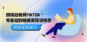 跨境·短视频TIKTOK零基础到精通变现训练营 短视频·独立站·带货变现技巧 - 技研社-技研社