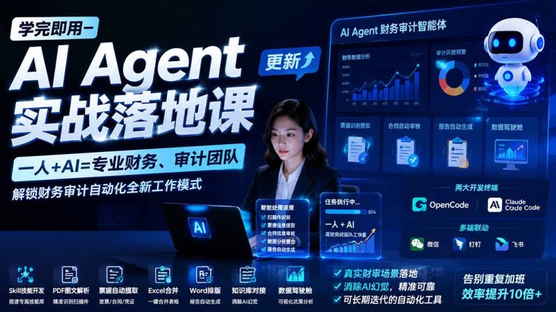学完即用—AI Agent实战落地课-更新:一人+AI=专业财务、审计团队,解锁财务审计自动化全新工作模式-技研社