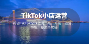 TikTok小店运营 抢占TikTok全球蓝海市场,开店、运营、带货、投流全实操 - 技研社-技研社