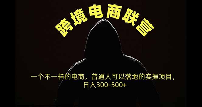 跨境电商联营，一个不一样的电商，普通人可操作日入300-500+-技研社